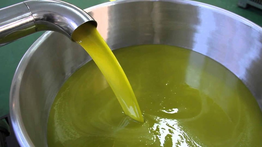 acquistare-olio-in-frantoio